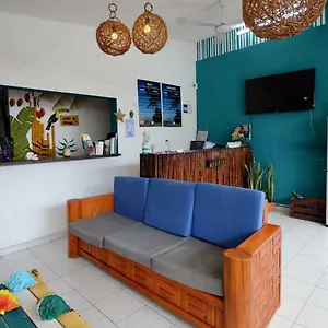 book here